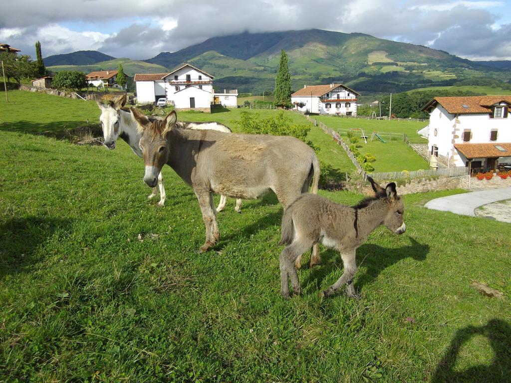 Casa Rural Gananea Zuaztoy de Azpilcueta Bilik gambar